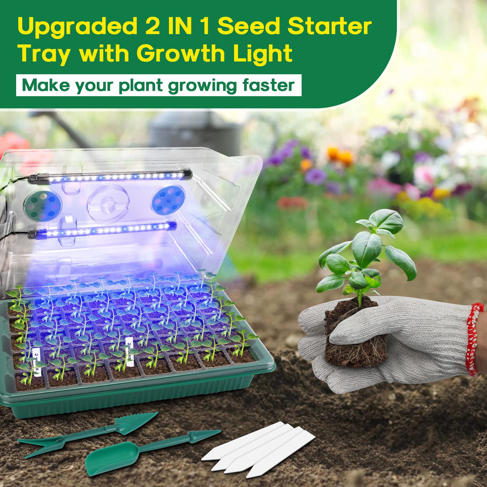 BlumWay seed starter tray with three timing modes for seed schedules