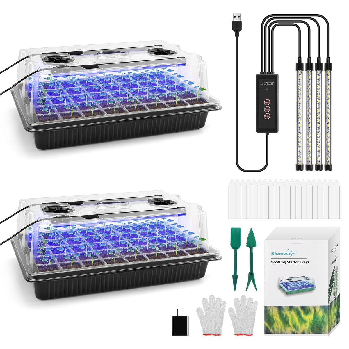 BlumWay seed starter tray 80 cells for indoor germination.