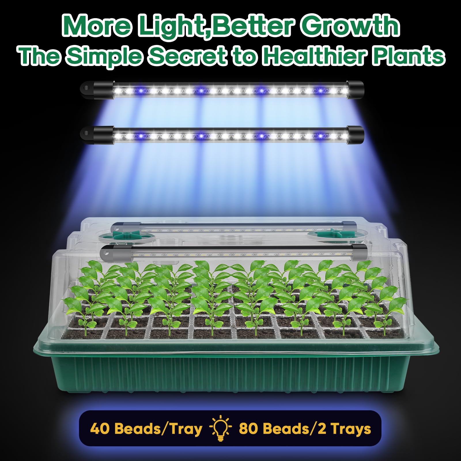 BlumWay seed starter tray with clear design for easy seed monitoring