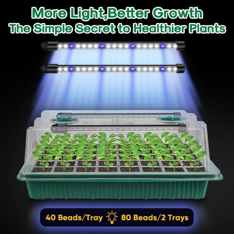 BlumWay seed starter tray with clear design for easy seed monitoring