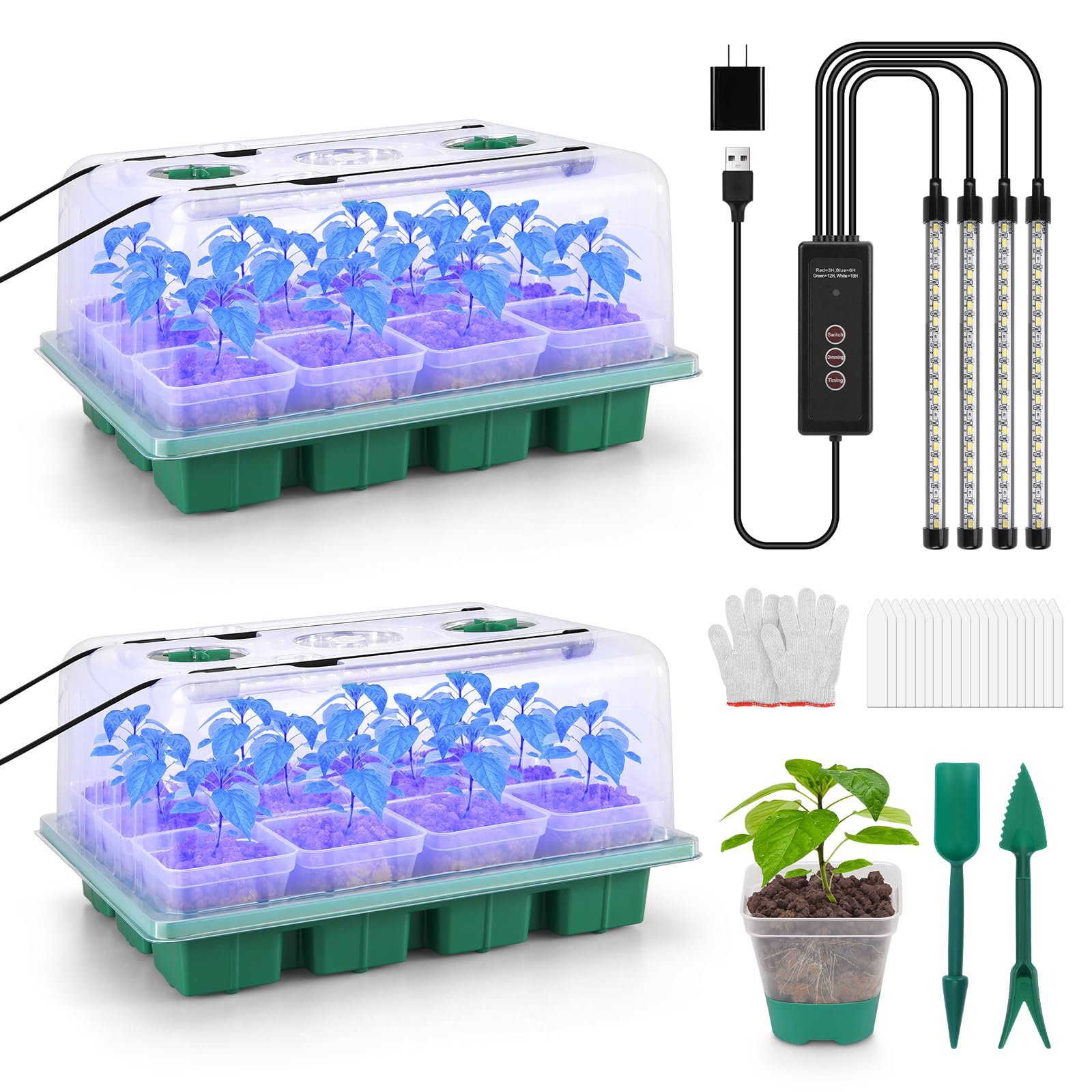 BlumWay seed starter tray with grow light delivers 360° coverage for even seedling growth.
