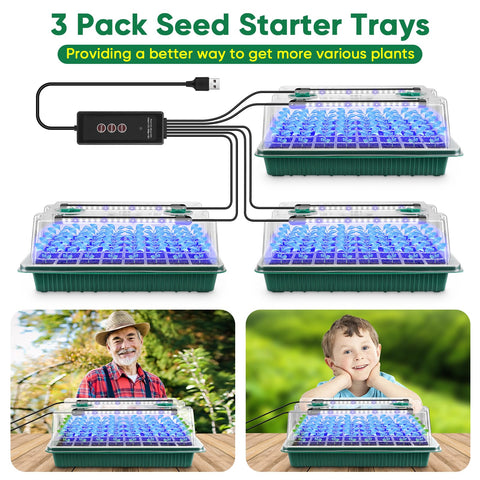 BlumWay seed starter tray creates optimized growth conditions for flowers and vegetables