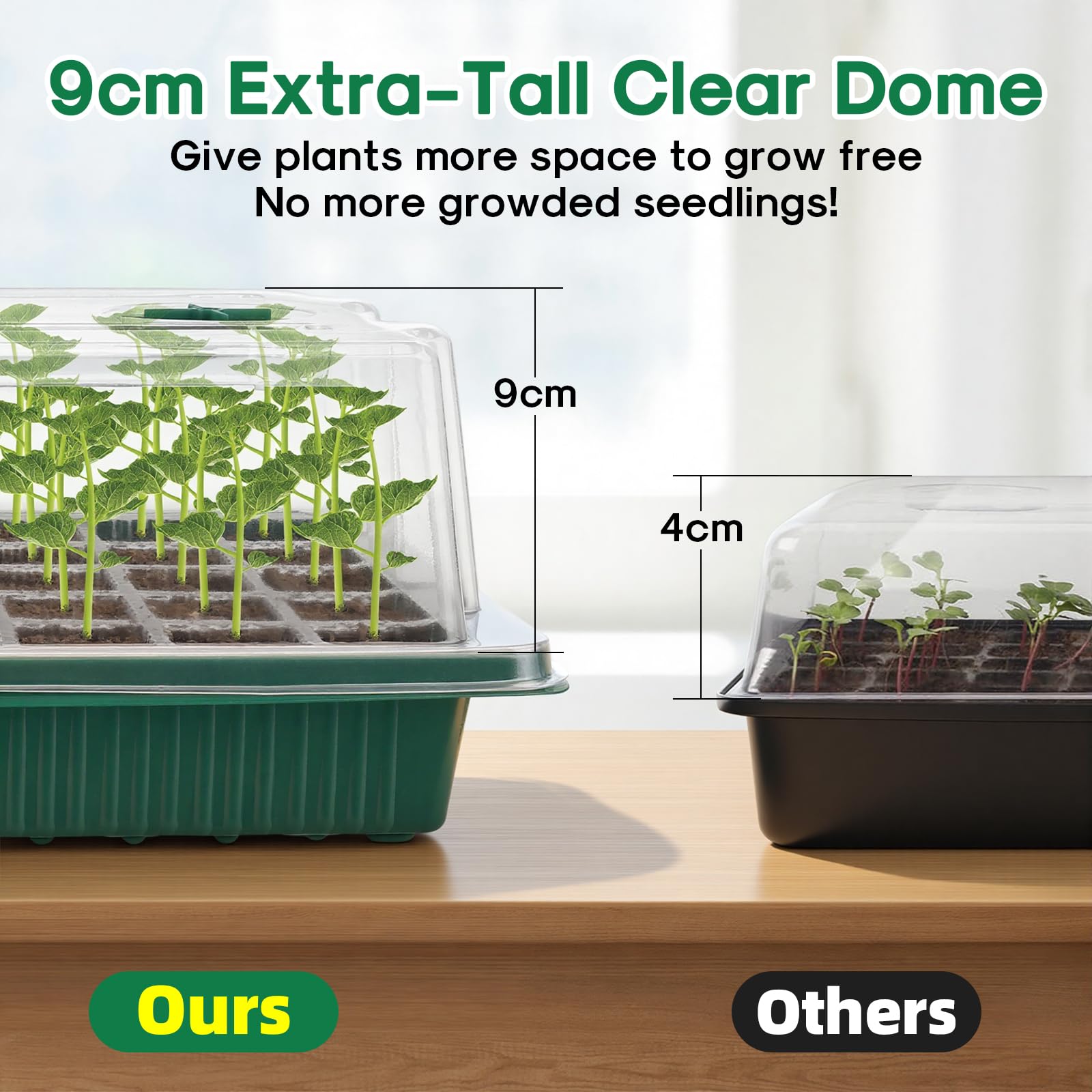 BlumWay seed starter tray suitable for flowers, vegetables, and herbs