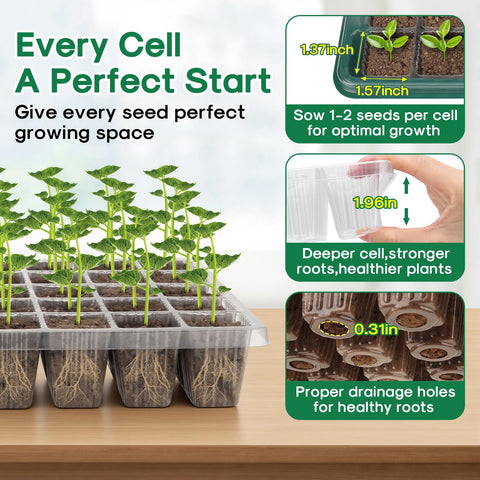 BlumWay four-pack 160-cell trays keep seedlings organized