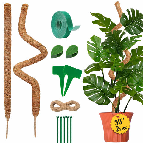 Blush Ease moss pole 30-inch bendable stake supports Monstera climbing and vertical growth.