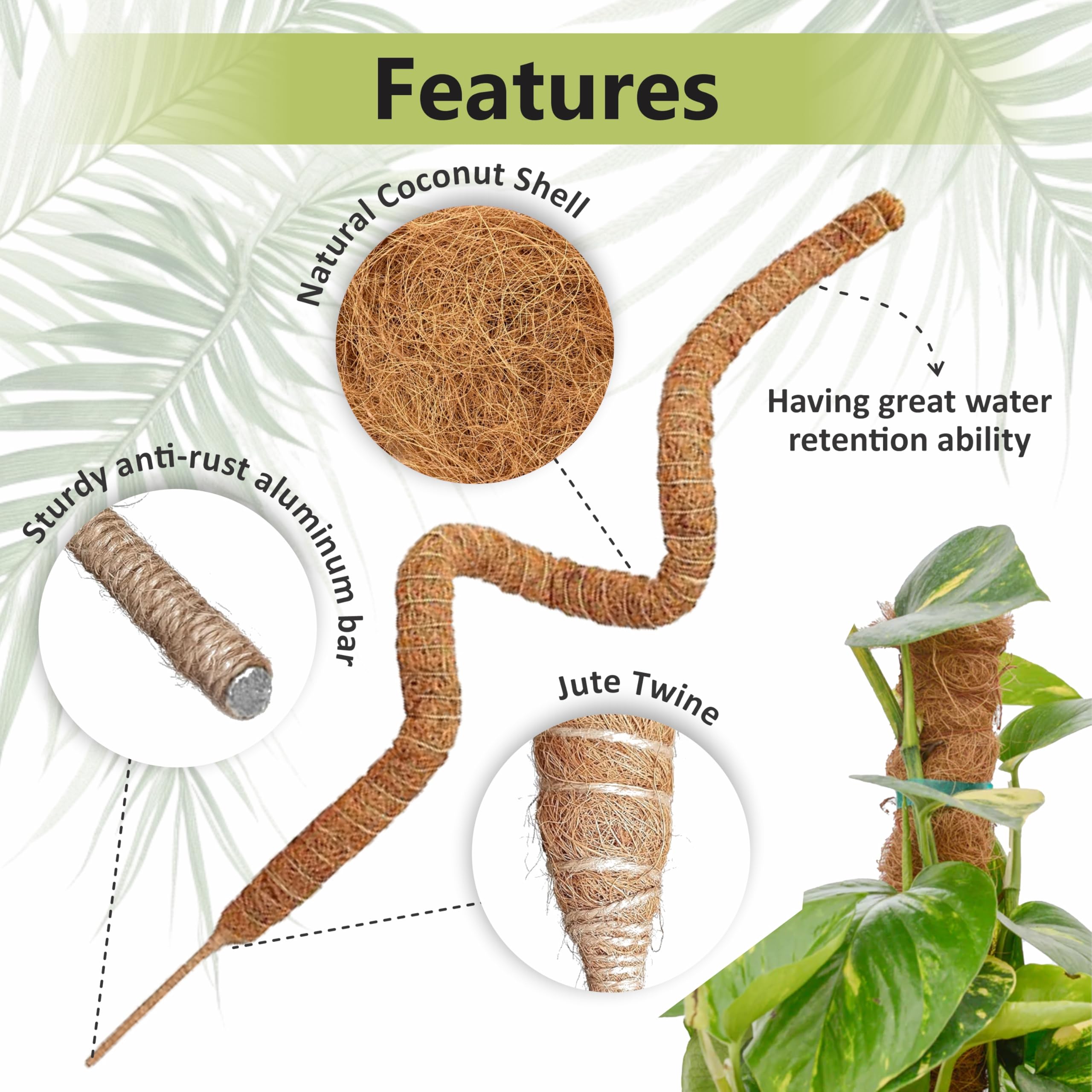 Blush Ease natural coconut coir moss pole holds moisture for roots.