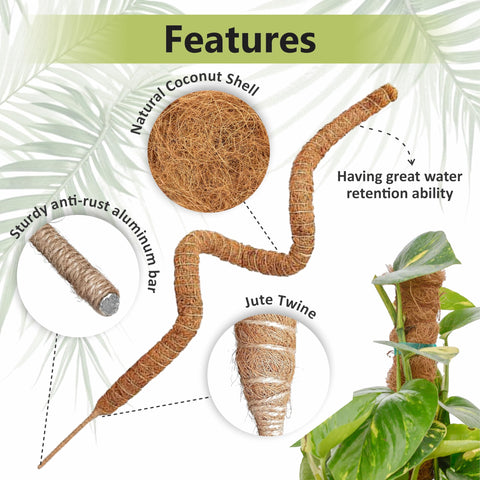 Blush Ease natural coconut coir moss pole holds moisture for roots.
