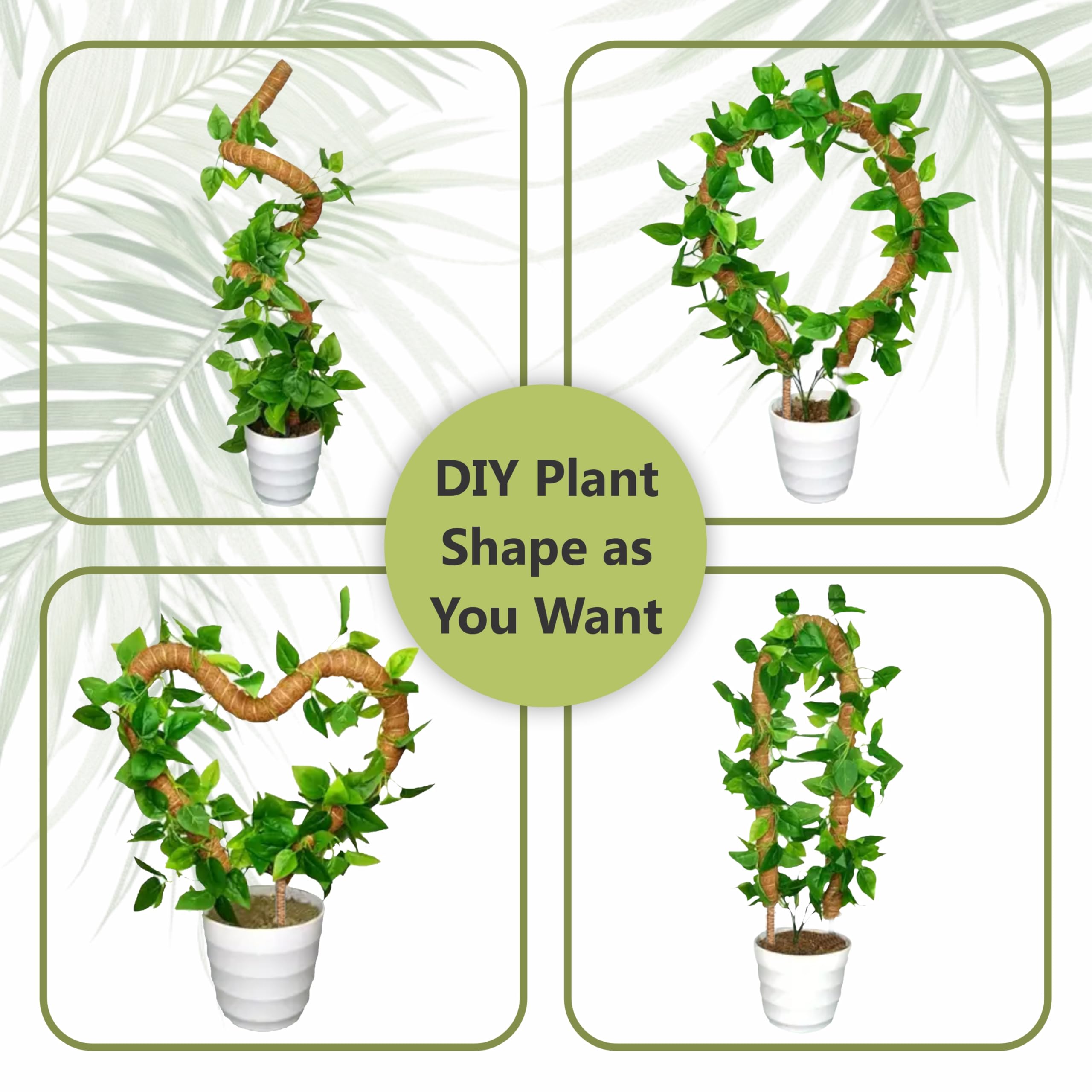 Blush Ease moss pole inserted in soil guides plants toward brighter light.