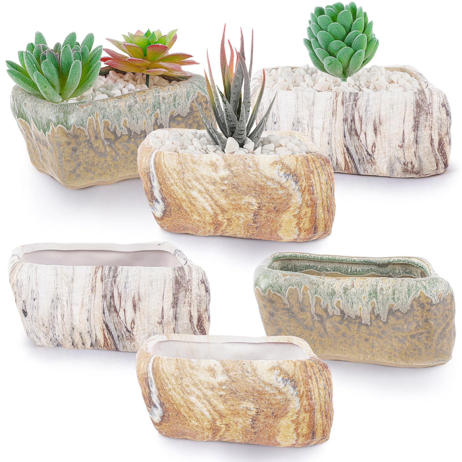 Blushtier six-piece ceramic succulent pots for stylish indoor display.