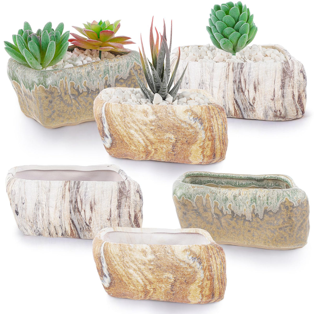 Blushtier six-piece ceramic succulent pots for stylish indoor display.