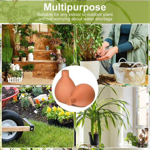 Blushtier gift-ready gardening kit for plant lovers
