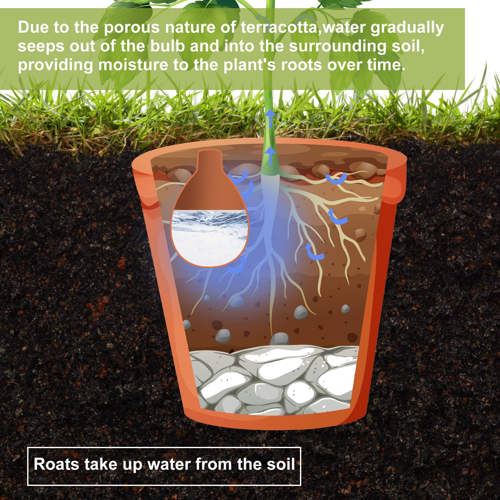 Blushtier indoor outdoor irrigation system supports versatile plant care