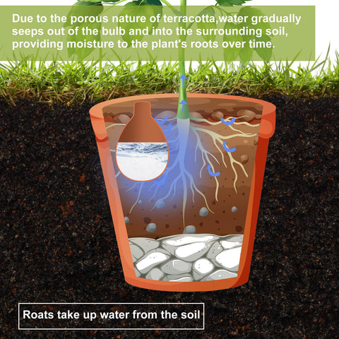 Blushtier indoor outdoor irrigation system supports versatile plant care