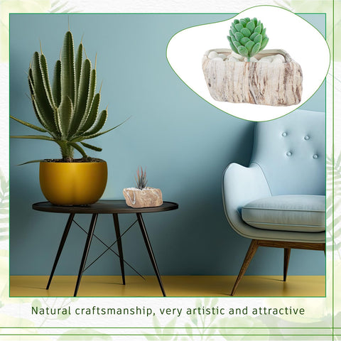 Blushtier compact planters fit on desks and small spaces.