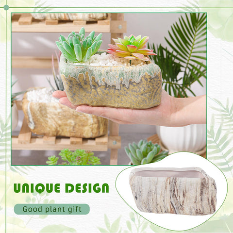 Blushtier rectangular rock-design ceramic planter for mini gardens.