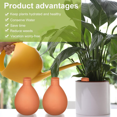 Blushtier self-watering pot buried near plant enables hands-off irrigation