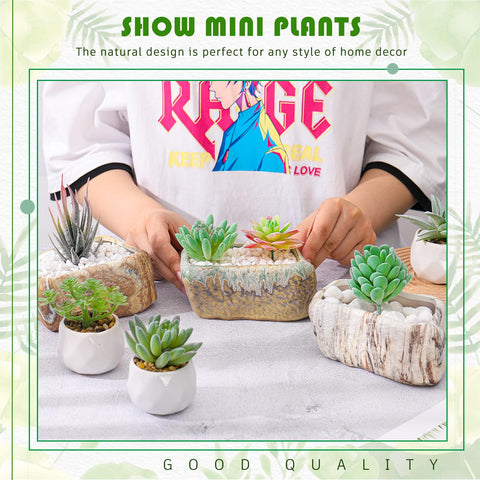 Blushtier succulent pot with drainage hole helps prevent overwatering.