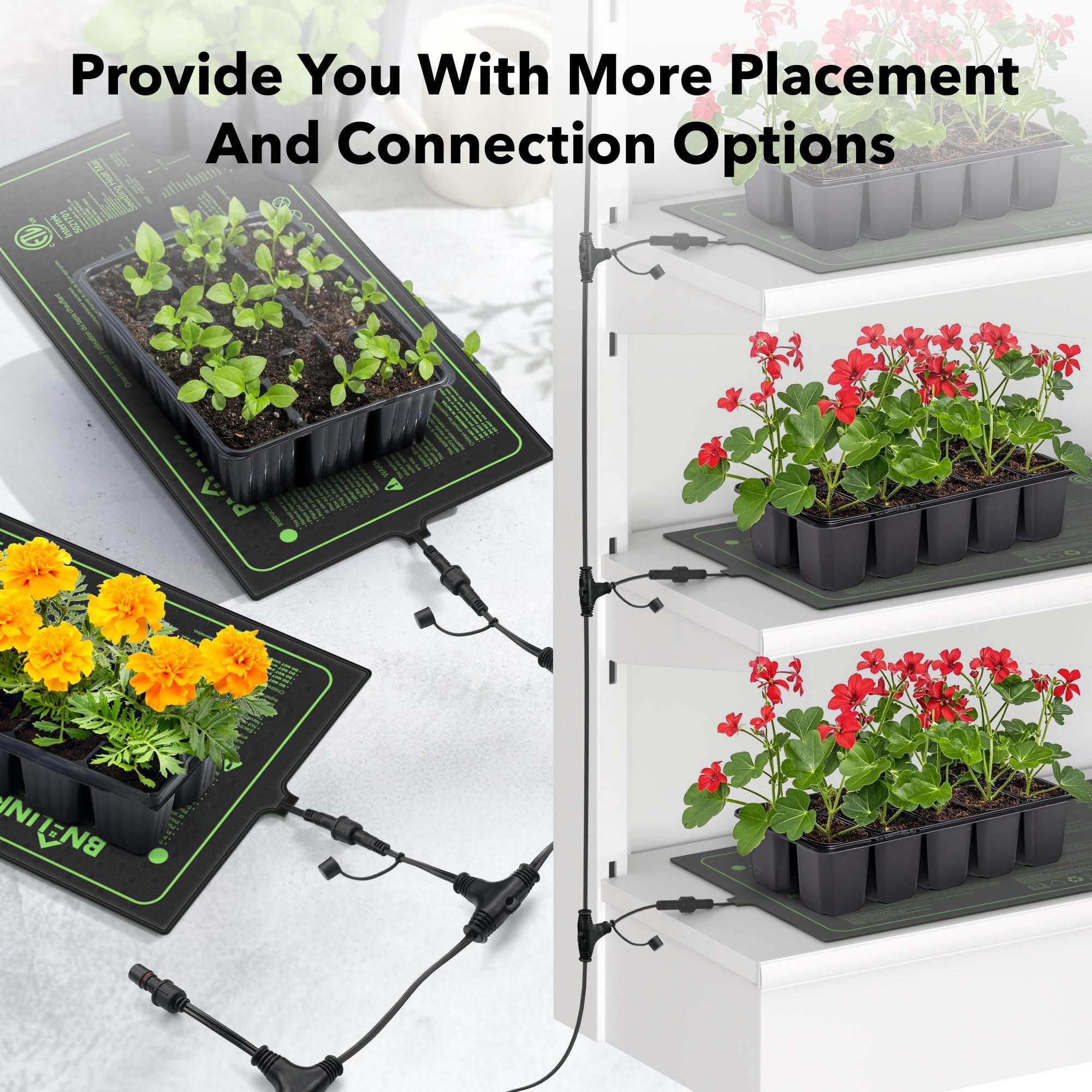BN-LINK daisy-chain four-pack links several mats for synchronized heating.