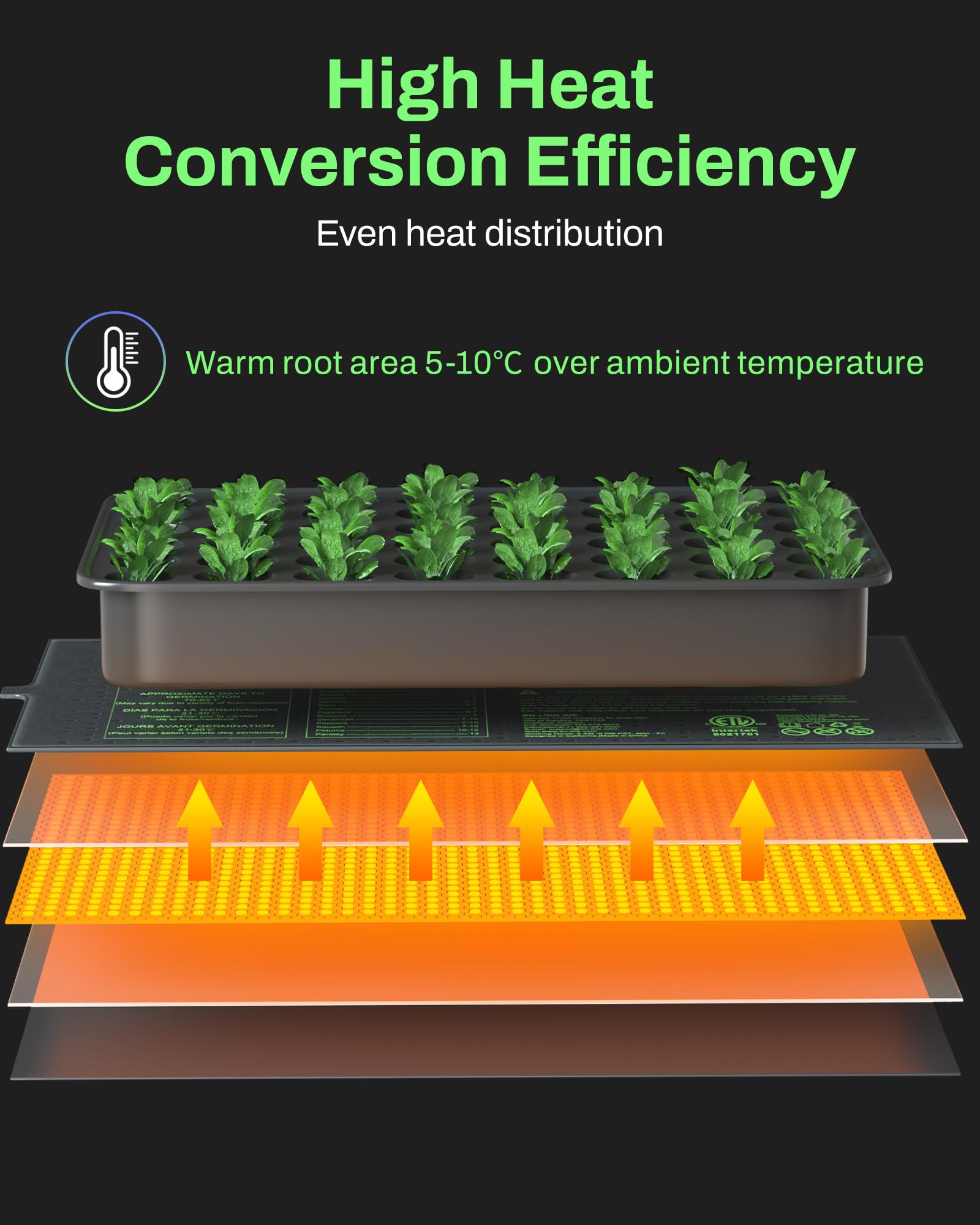 Seedlings on BN-LINK heat mat for uniform warmth during germination