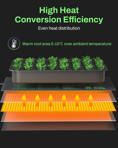 Seedlings on BN-LINK heat mat for uniform warmth during germination
