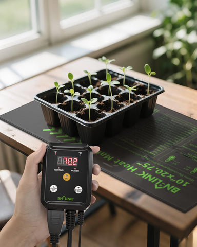 Seed-start area warmed by BN-LINK mat with germination trays