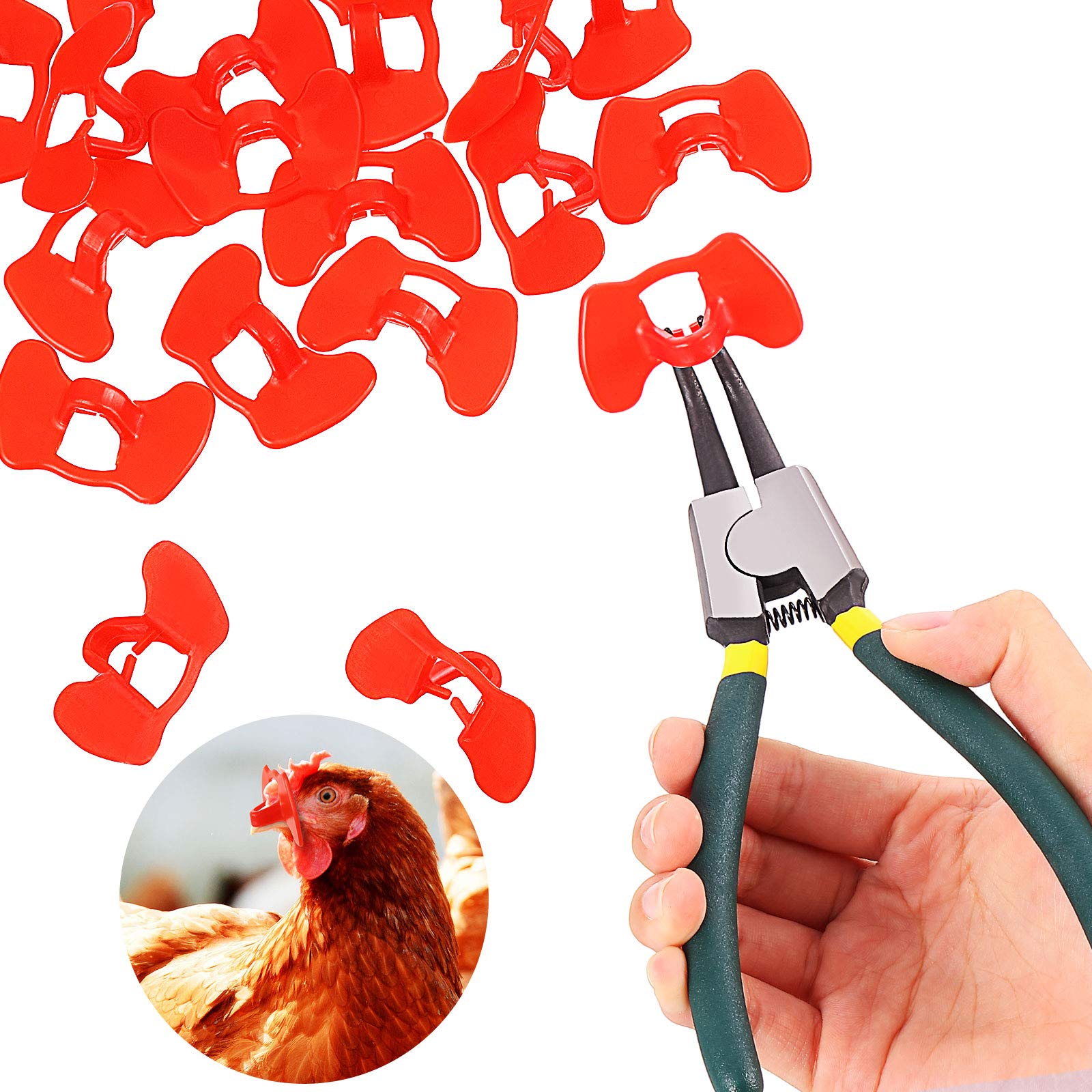 Boao pinless peepers assist tool shown for safe poultry fitting
