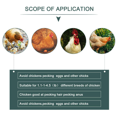 Boao pinless peepers packaging for easy flock management