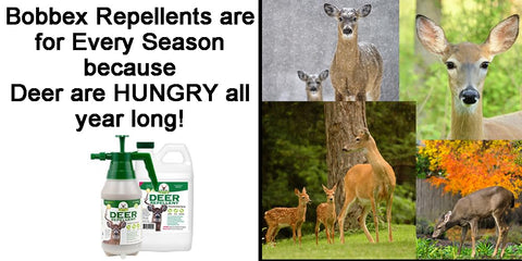Bobbex garden protection helps reduce wildlife damage during seasons.