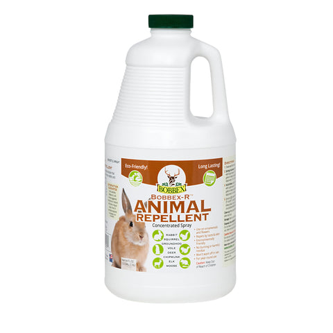Bobbex-R spray bottle ready for outdoor use, offering year-round plant protection.