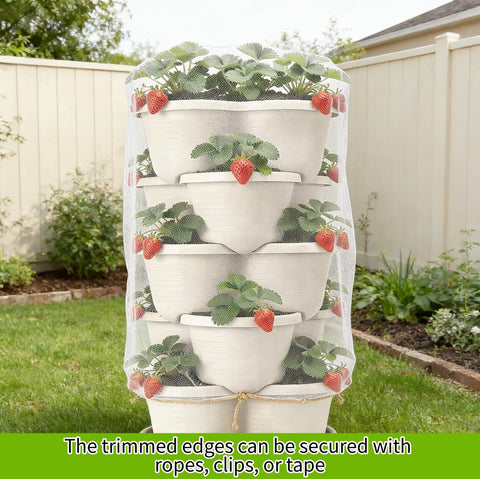 BobbleT easy-clean storage after season-ready for next use.