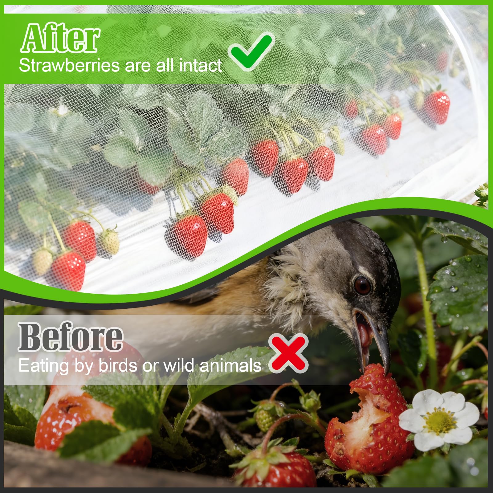 BobbleT netting wrapped around potted plant provides flexible shielding.
