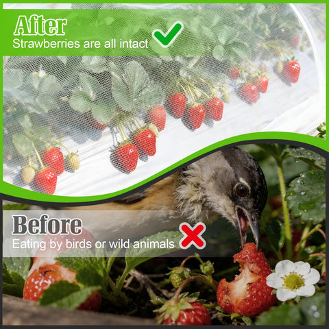 BobbleT netting wrapped around potted plant provides flexible shielding.