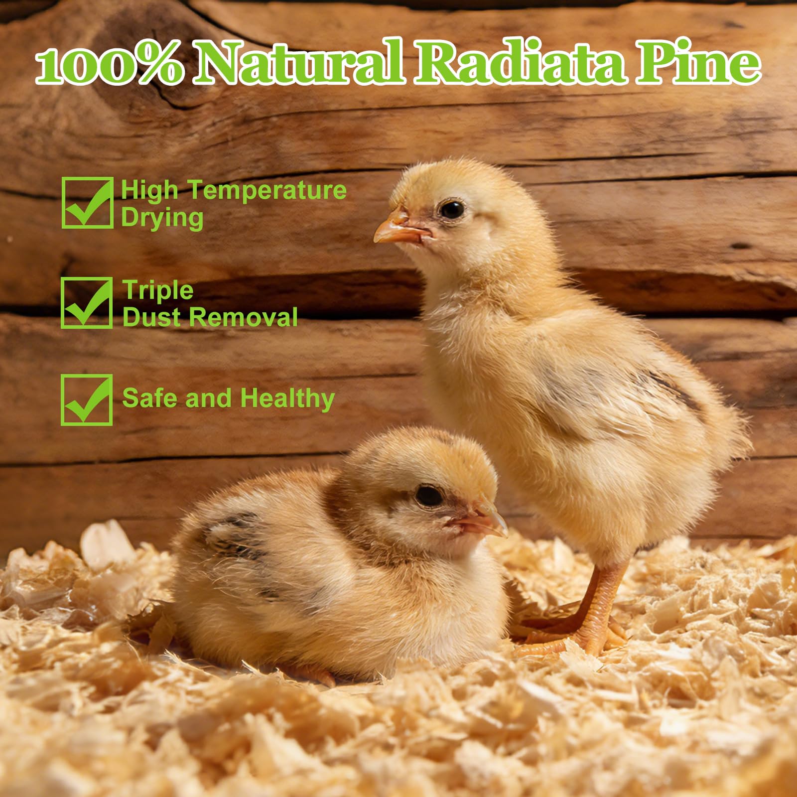 BobbleT Radiata Pine Shavings naturally reduce odors, keeping the coop smelling fresher.