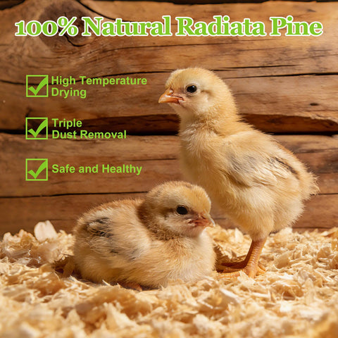BobbleT Radiata Pine Shavings naturally reduce odors, keeping the coop smelling fresher.