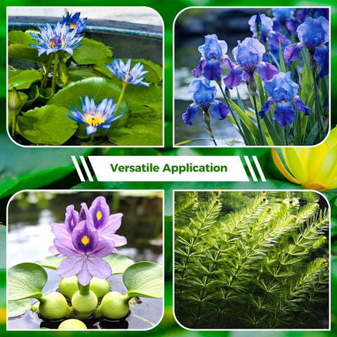 Decorative water garden setup highlighting pond soil performance.