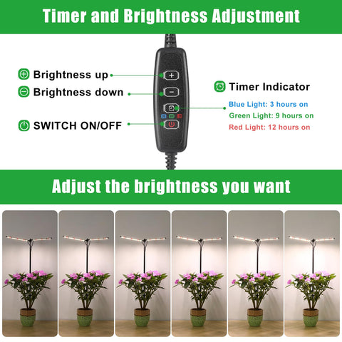 bodkar 6000K white and red LEDs emitting bright sun-like spectrum up close