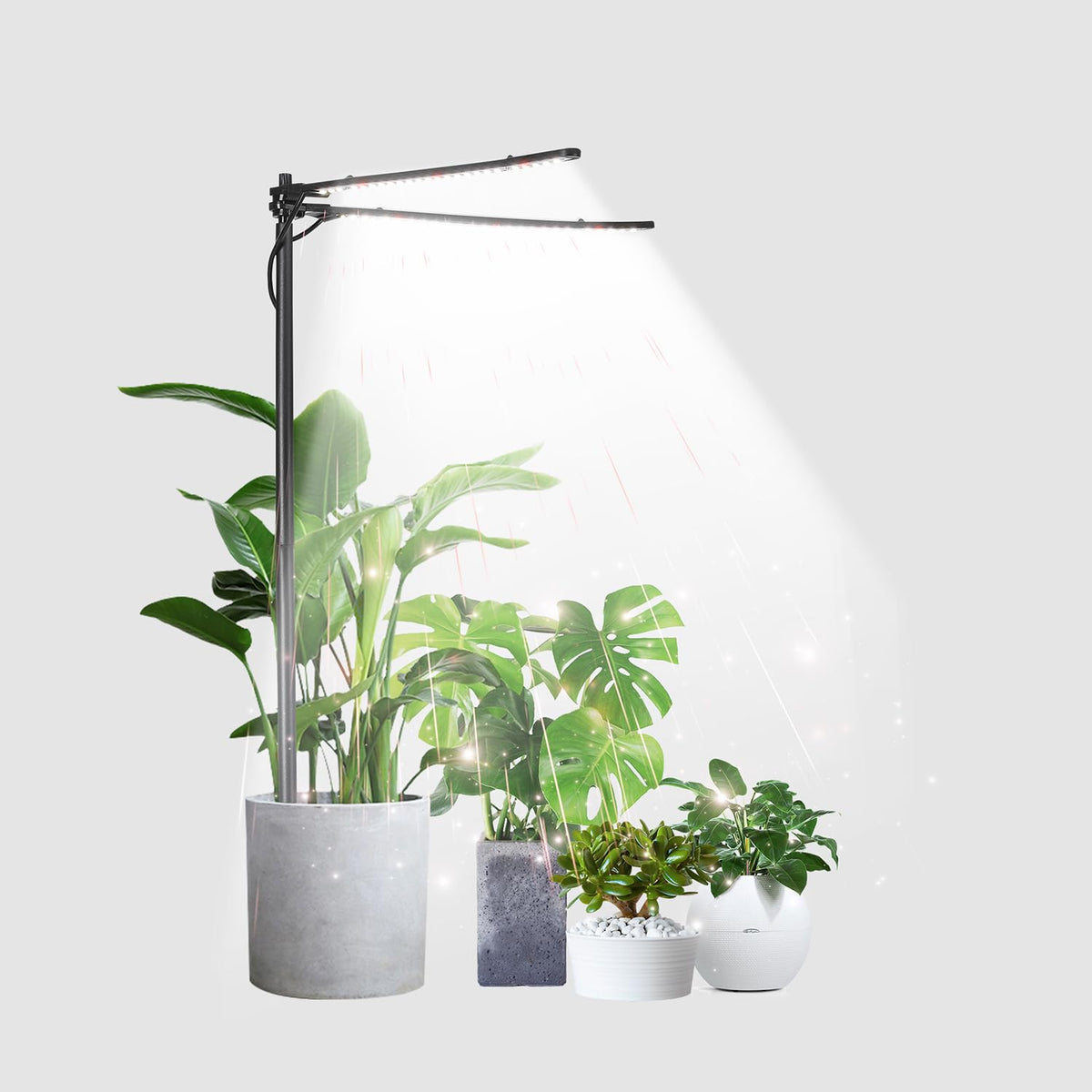 bodkar plant grow light dual-head setup boosts indoor plant growth year-round