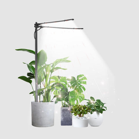 bodkar plant grow light dual-head setup boosts indoor plant growth year-round
