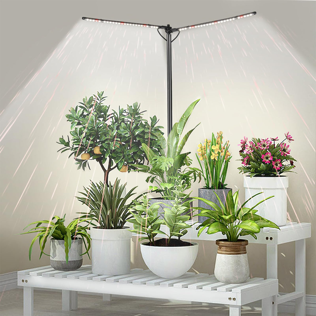 bodkar two-head full spectrum grow light positioned above herbs for healthier indoor growth
