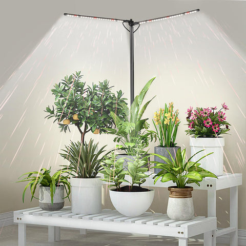 bodkar two-head full spectrum grow light positioned above herbs for healthier indoor growth