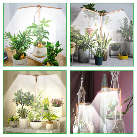 bodkar wooden grow light decorates corners while supporting plant growth in dim spaces.