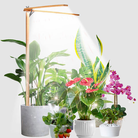 bodkar wooden grow light two-head over a potted herbs delivering sunlight-like spectrum.