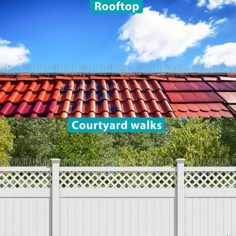 Boenoea stainless steel spikes withstand outdoor weather for lasting protection