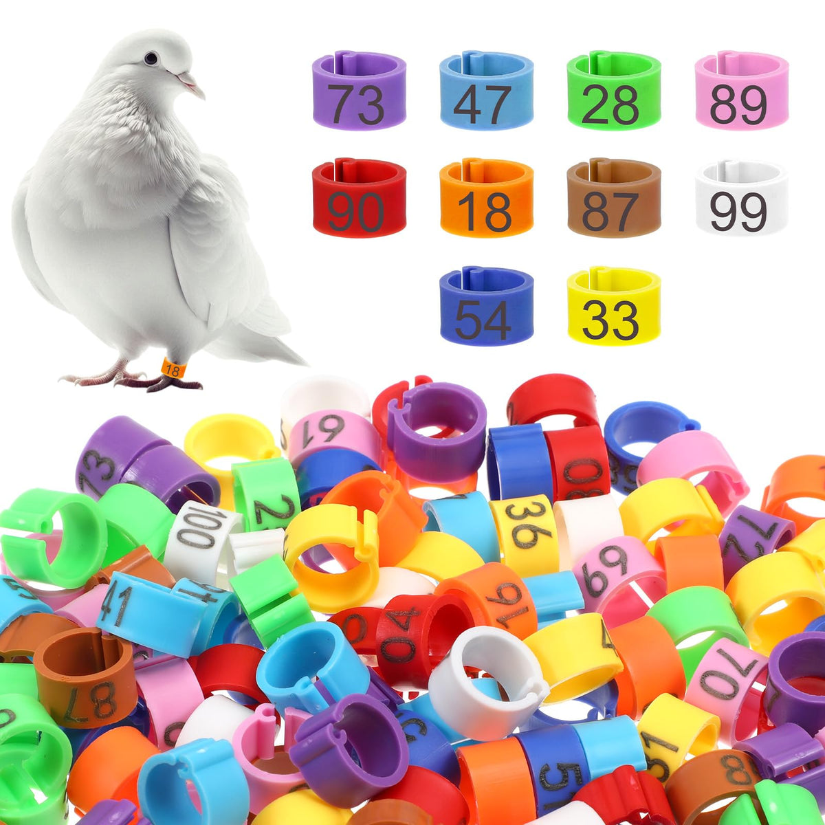 BOHUIZ 8mm baby chick leg bands in assorted colors for quick ID.