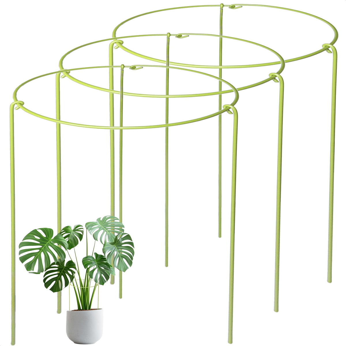 Boinio 3-pack plant stakes provide sturdy 10W x 17H support for growing indoor plants.