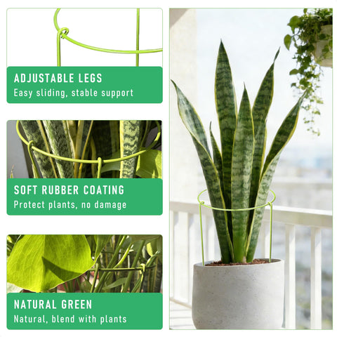 Boinio adjustable monstera cages support thick stems for upright growth.