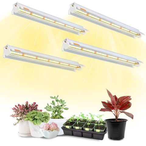 Bokeedo T5 bar shows 3-in-1 spectrum for healthy seedling growth on shelves.