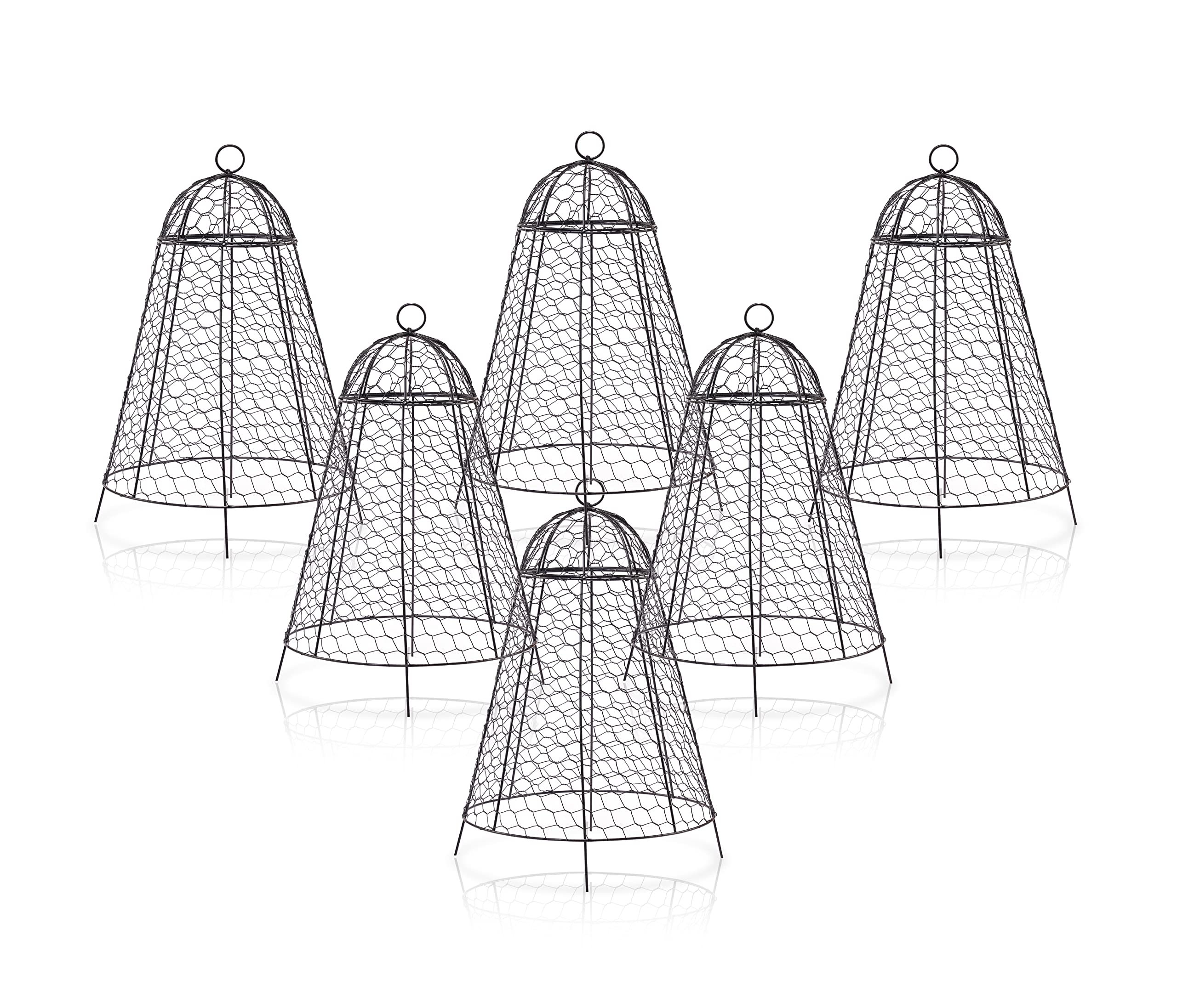 Boldworks garden cloche 12x20 metal mesh protects plants while letting sunlight.