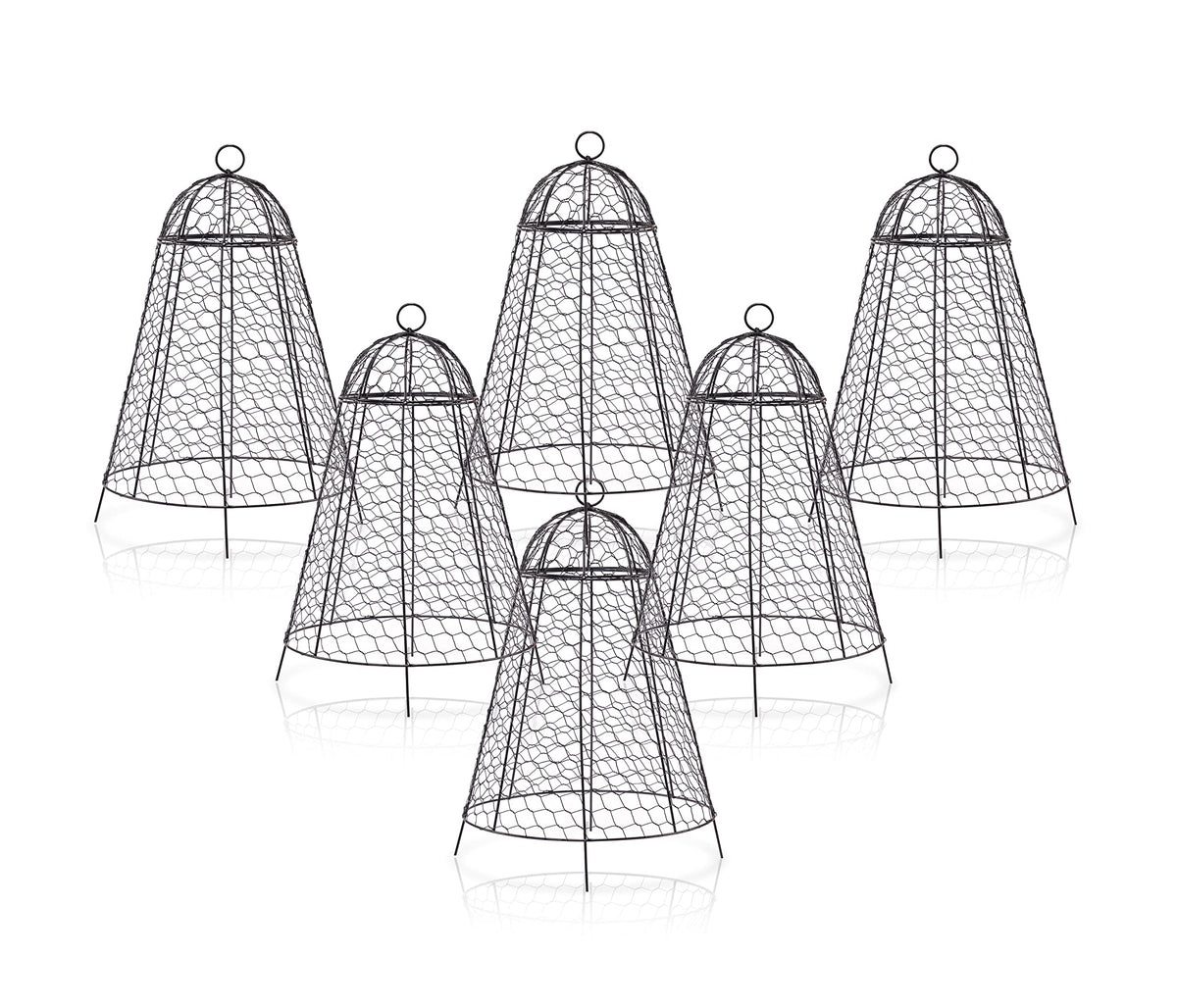 Boldworks garden cloche 12x20 metal mesh protects plants while letting sunlight.