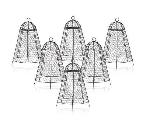 Boldworks garden cloche 12x20 metal mesh protects plants while letting sunlight.